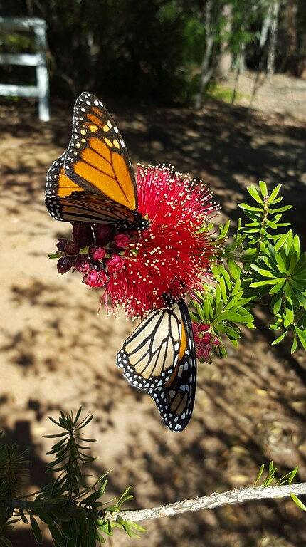 Cottage for 2 People in Western Australia, Australia