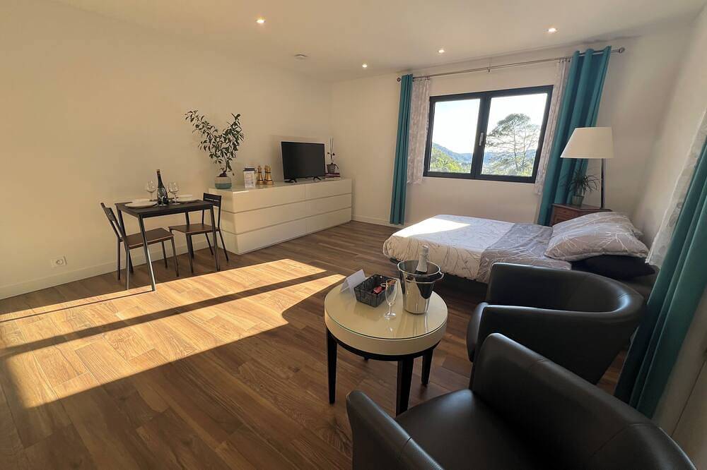 Apartamento entero, Air-conditioned studio with terrace, jacuzzi & parking - near Nice & Monaco in La Trinité, Costa mediterránea (Francia)