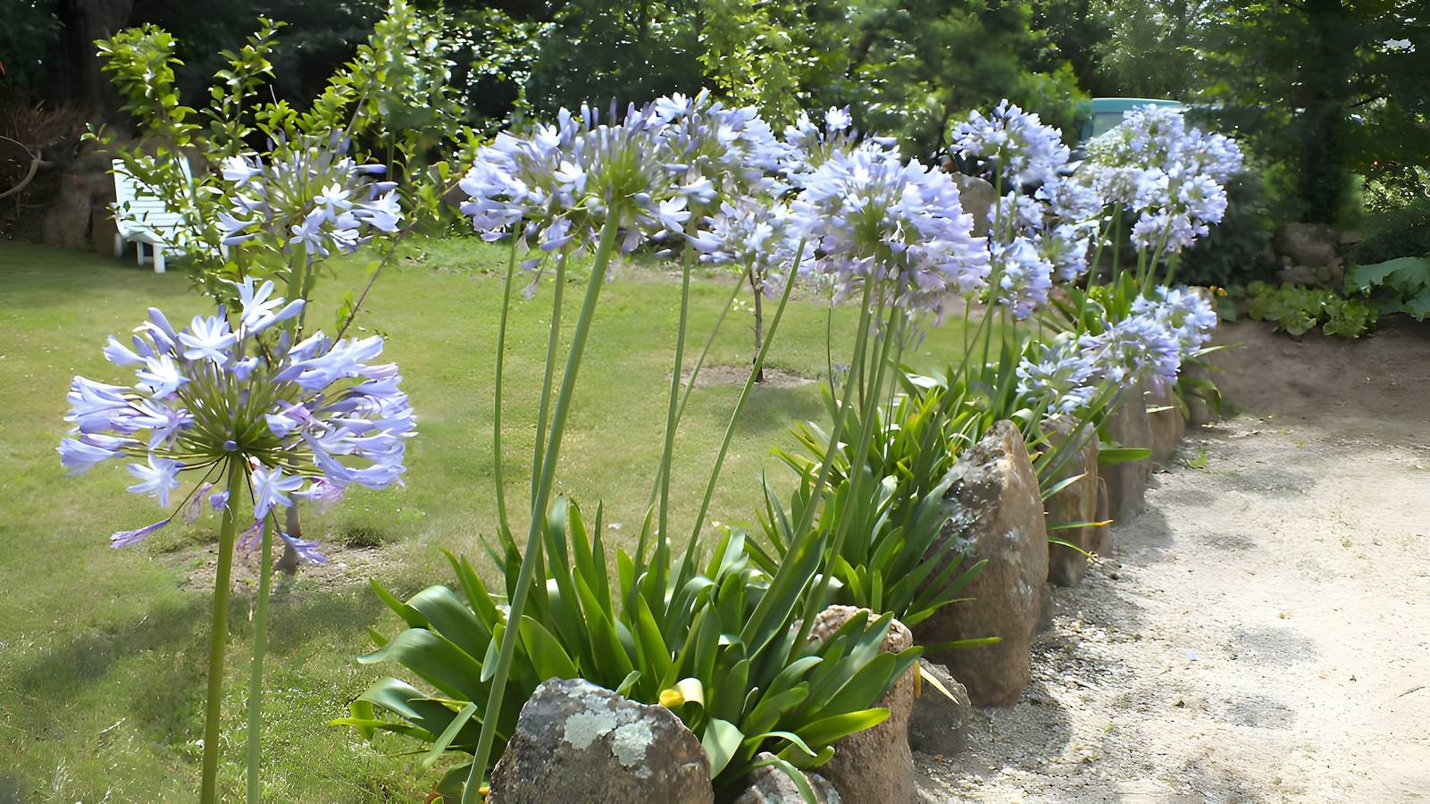 Ty Annick - Chambre Les Glénans  in Névez, Région de Quimper