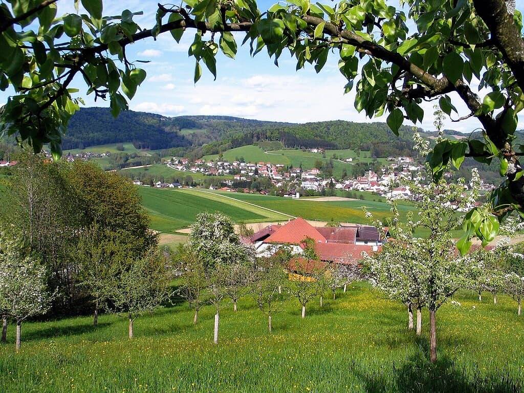 Ganze Wohnung, Kräuterhof - Löwenzahn in Ringelai, Ostbayern