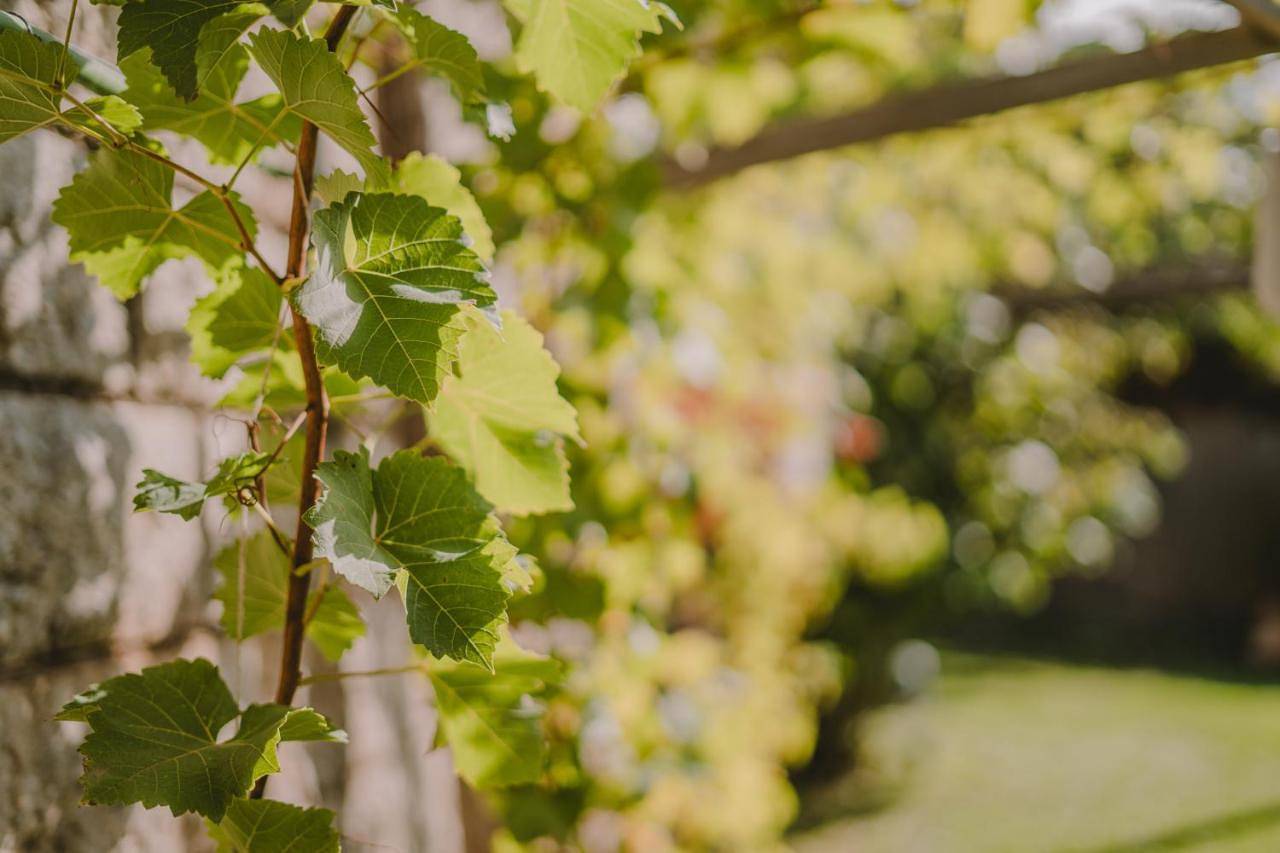Luisashaus in Dorf Tirol, Texelgruppe