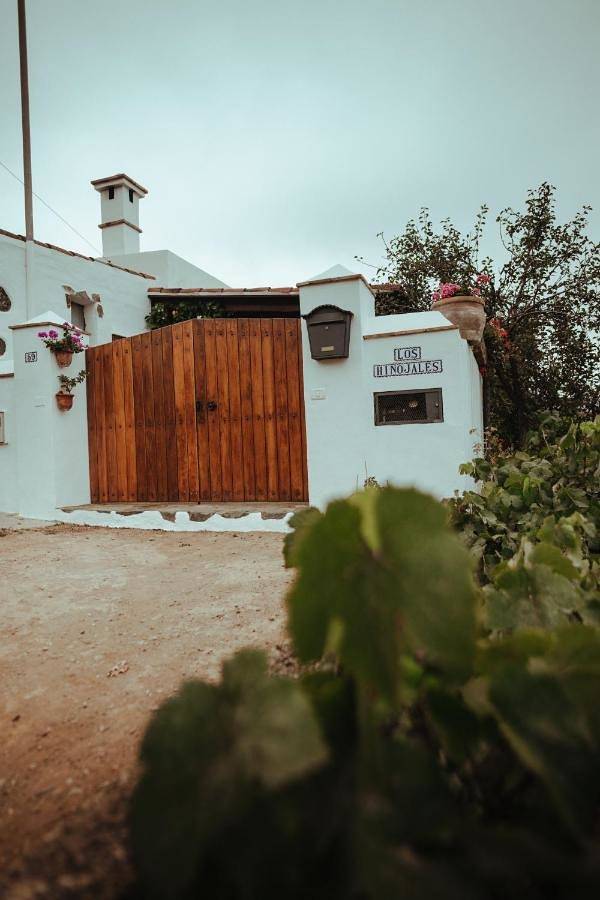 Villa in La Tierra del Trigo, Los Silos