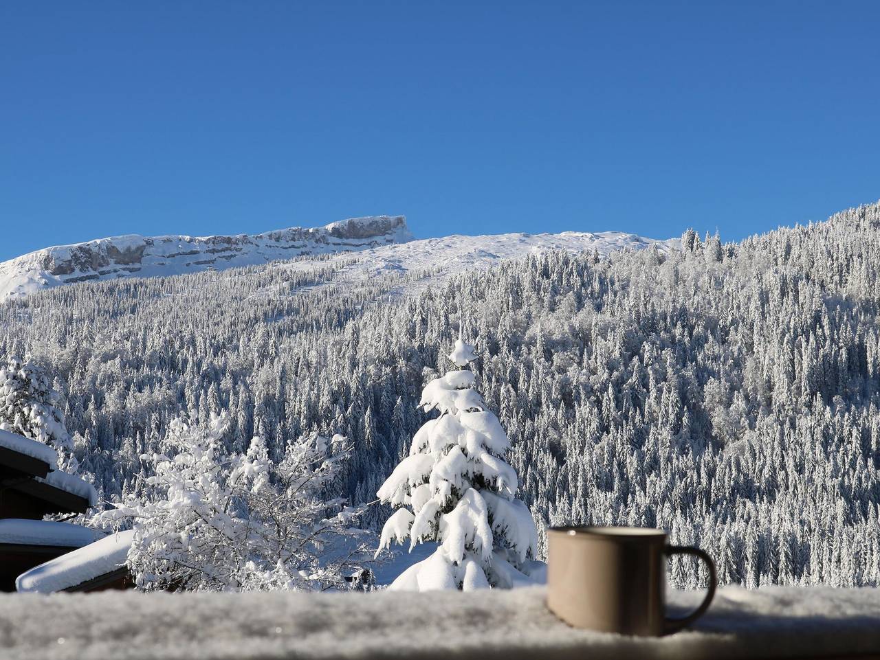 Ganze Ferienwohnung, Gästehaus Strasser - Appartement 2 mit 1 Schlafraum und Südterrasse in Riezlern, Mittelberg