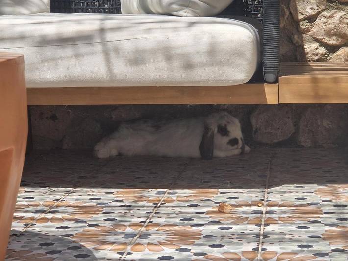 Location de vacances pour 6 personnes, avec jardin et piscine à Verquières - 2