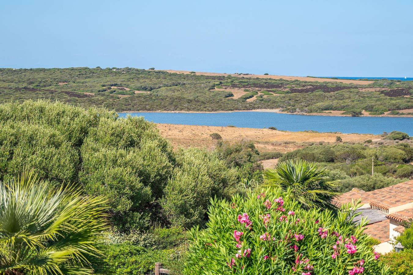 Villa Selena - Punta De Su Turrione in Stagno di Casaraccio, Punta De Su Turrione