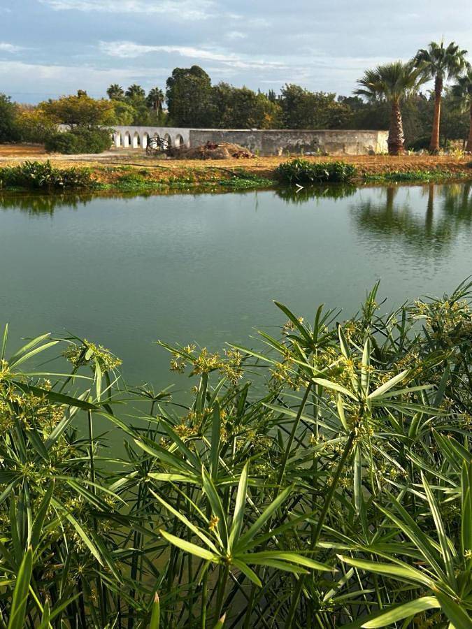 Camping für 2 Personen, mit Terrasse und Garten sowie Ausblick und Pool an der Algarve - 4