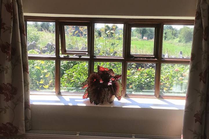 Hütte für 2 Personen in Irland - 4