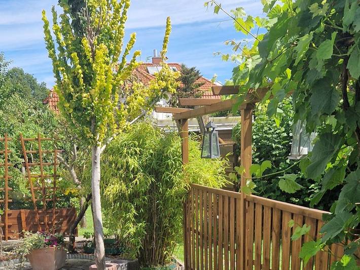 Ferienwohnung für 2 Personen, mit Garten in Bad Doberan (Stadt) - 2