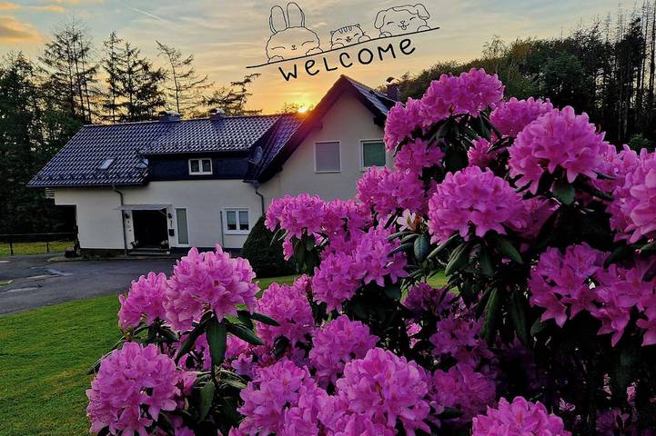 Ferienhaus für 5 Personen, mit Balkon und Garten in Reichshof