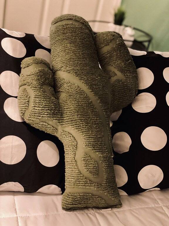 Casa Del Sol Gilbert, Arizona Heated Pool & Spa in Gilbert, Maricopa County