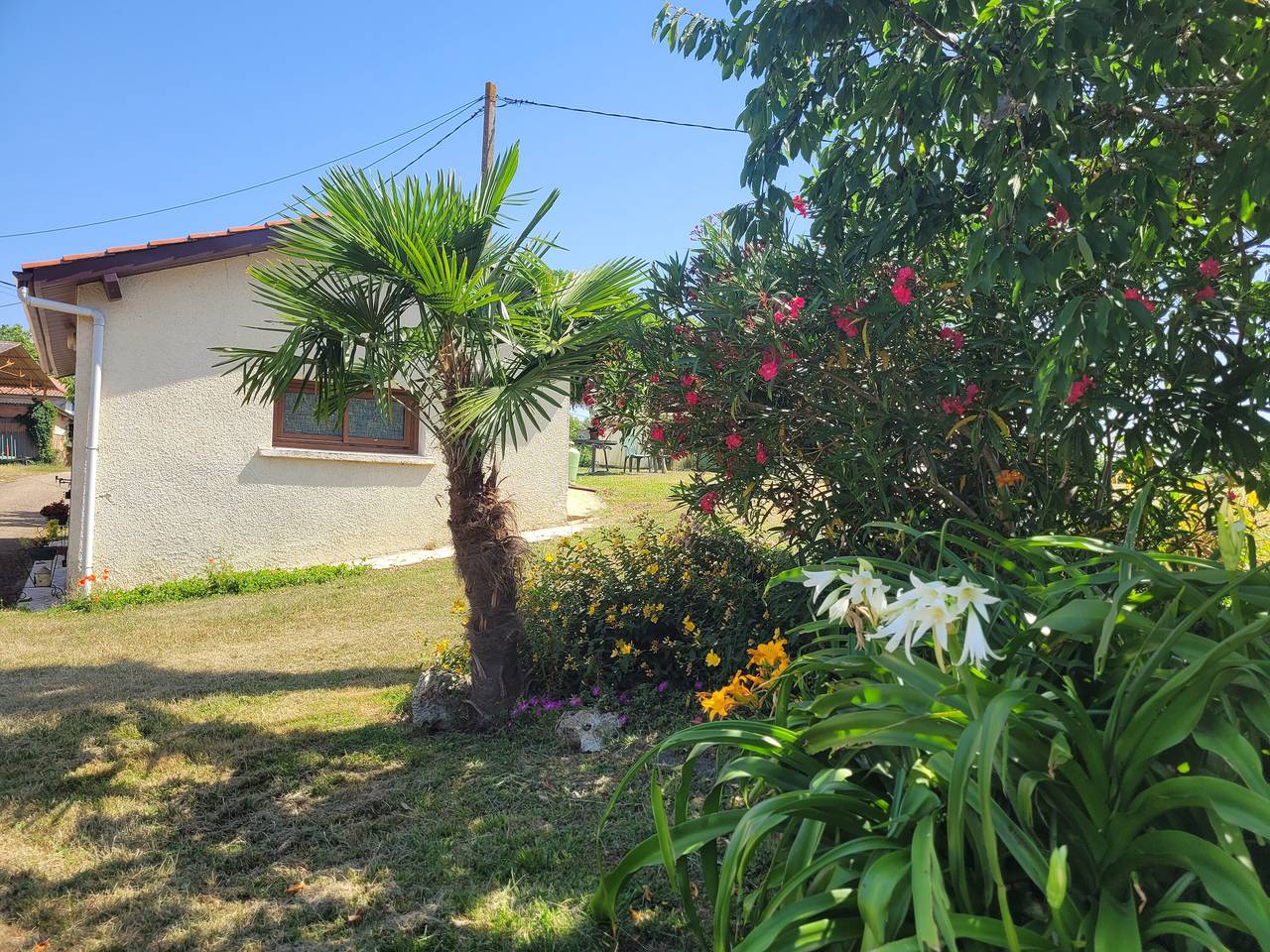Le Gîte De Gayssanes : charme et tranquillité au cœur de la nature in Saint-Arroumex, Tarn-et-Garonne