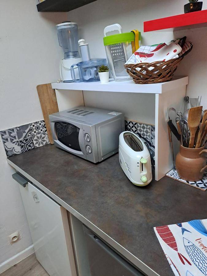 Location de vacances pour 4 personnes, avec jardin et vue à Saint-Maixent-sur-Vie - 2