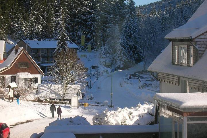 Ferienwohnung für 4 Personen, mit Haustier in Wildemann