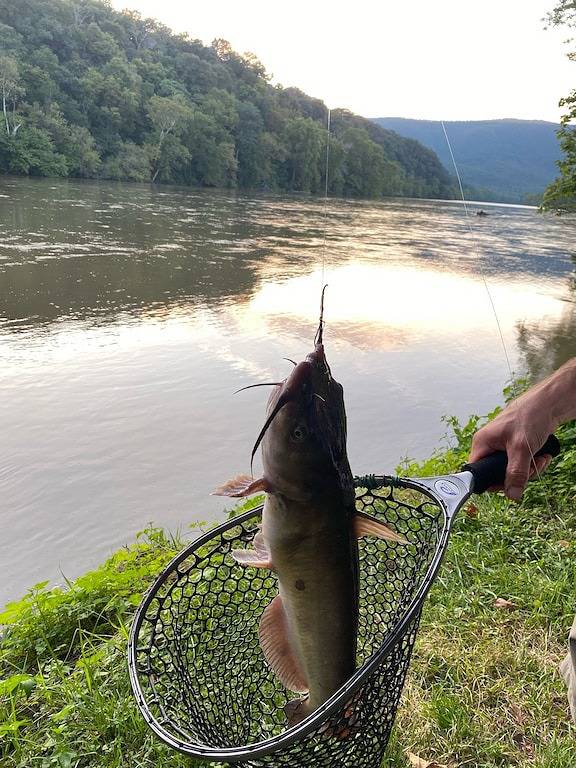 Log Cabin for 4 Guests in Page County