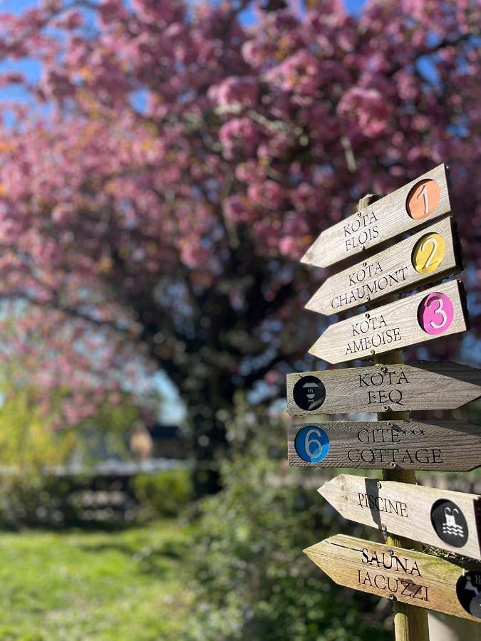 Gîte pour 2 personnes, avec piscine et vue ainsi que sauna et jardin à Chouzy-sur-Cisse - 3