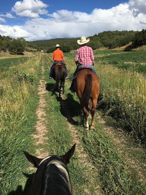 Cottage for 2 people, with garden - 1