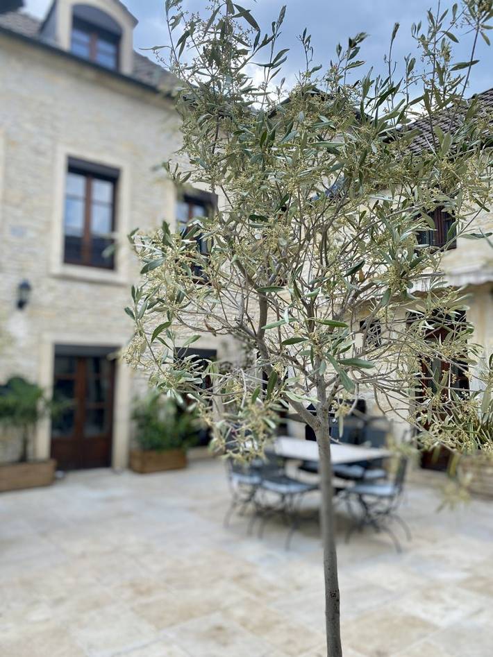 Gîte pour 30 personnes, avec balcon et jardin dans vallée de l'Ouche - 2