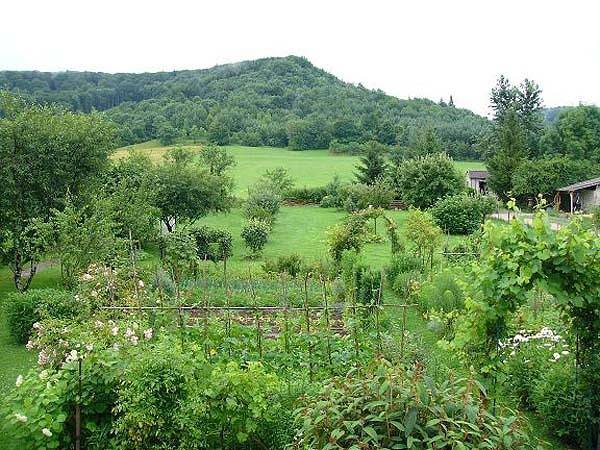 Les Mésanges in Jura Francais