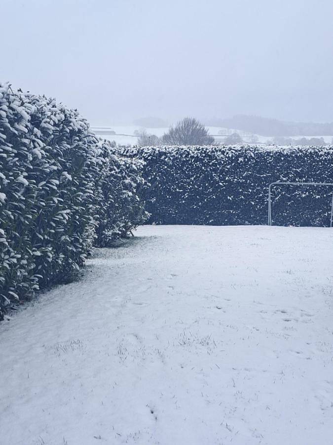 Gîte pour 6 personnes, avec vue et jardin à Bertogne - 3