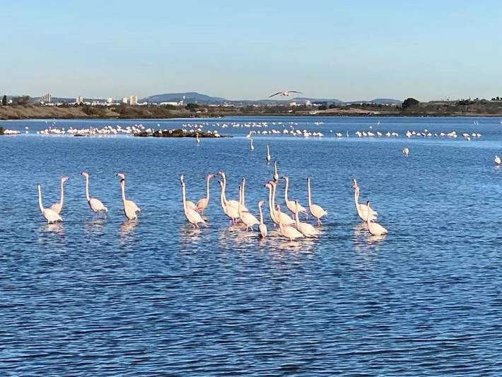 Camping pour 5 personnes, avec piscine ainsi que jardin et vue, animaux acceptés