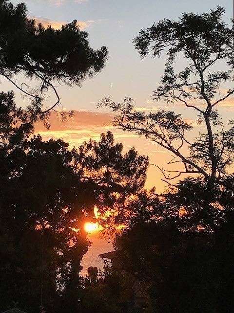 Apartamento vacacional entero, Le Moulleau • Two-bedroom flat with parking 50 metres from the beach in Le Moulleau, Arcachón