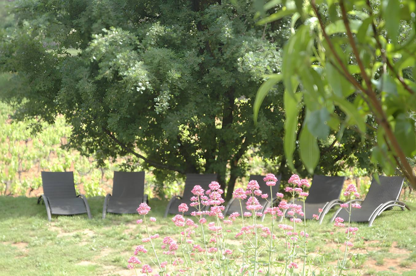 Bed and Breakfast 'La Fenière' with Shared Pool, Shared Terrace and Wi-Fi in Carcès, Brignoles region