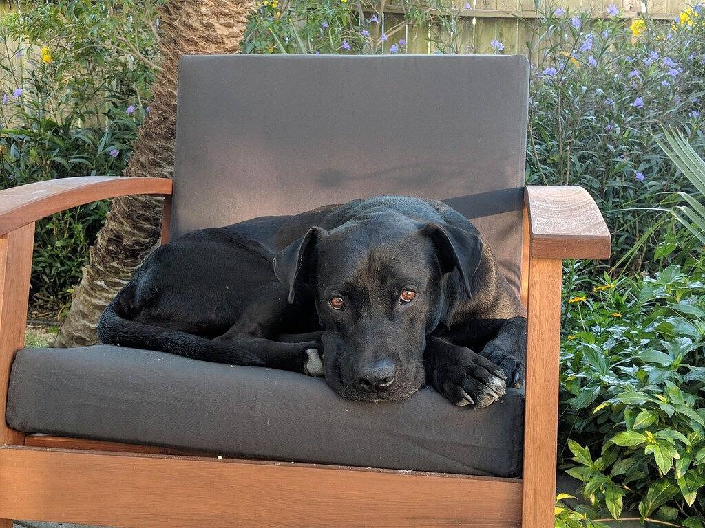 Ganze Wohnung, Lantana Guest House in Old Town Port A - 3 blocks to the beach, food, and music! in Port Aransas, Mustang Island