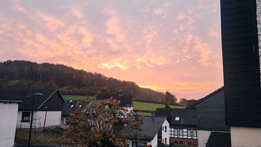 Ferienwohnung für 4 Personen, mit Haustier in Arnsberg