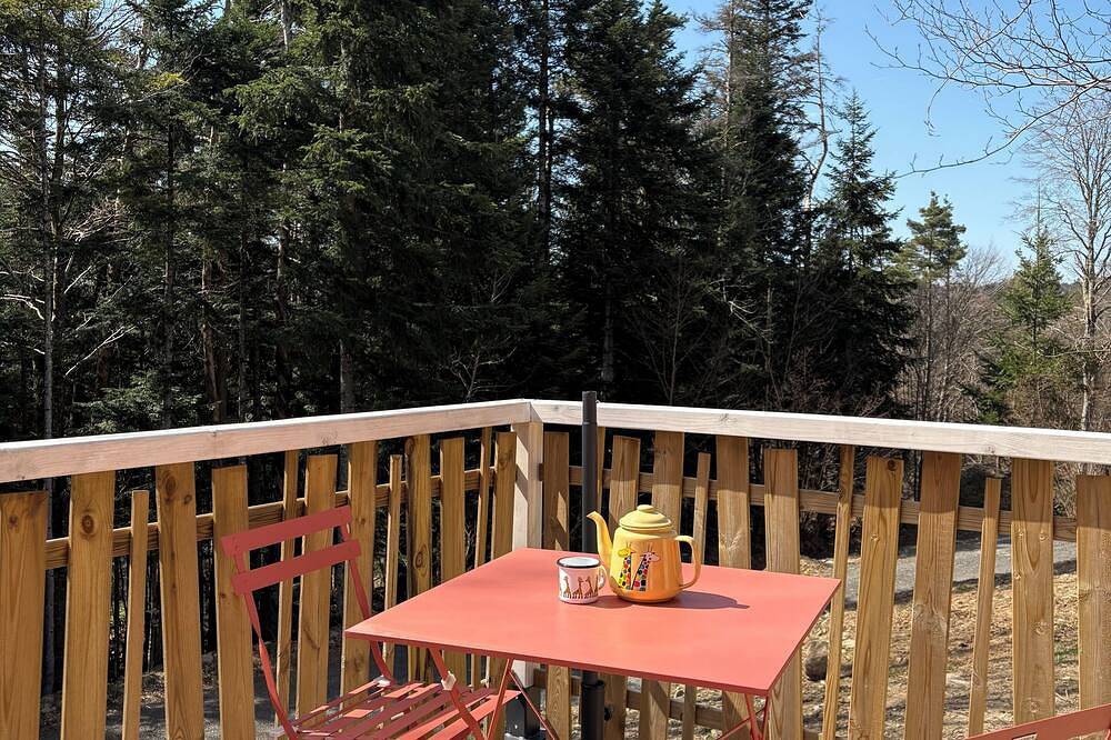 Cosy self-catering cottage, near the center of Le Chambon-sur-Lignon, on the edge of a forest in Le Chambon-sur-Lignon, Massif Central