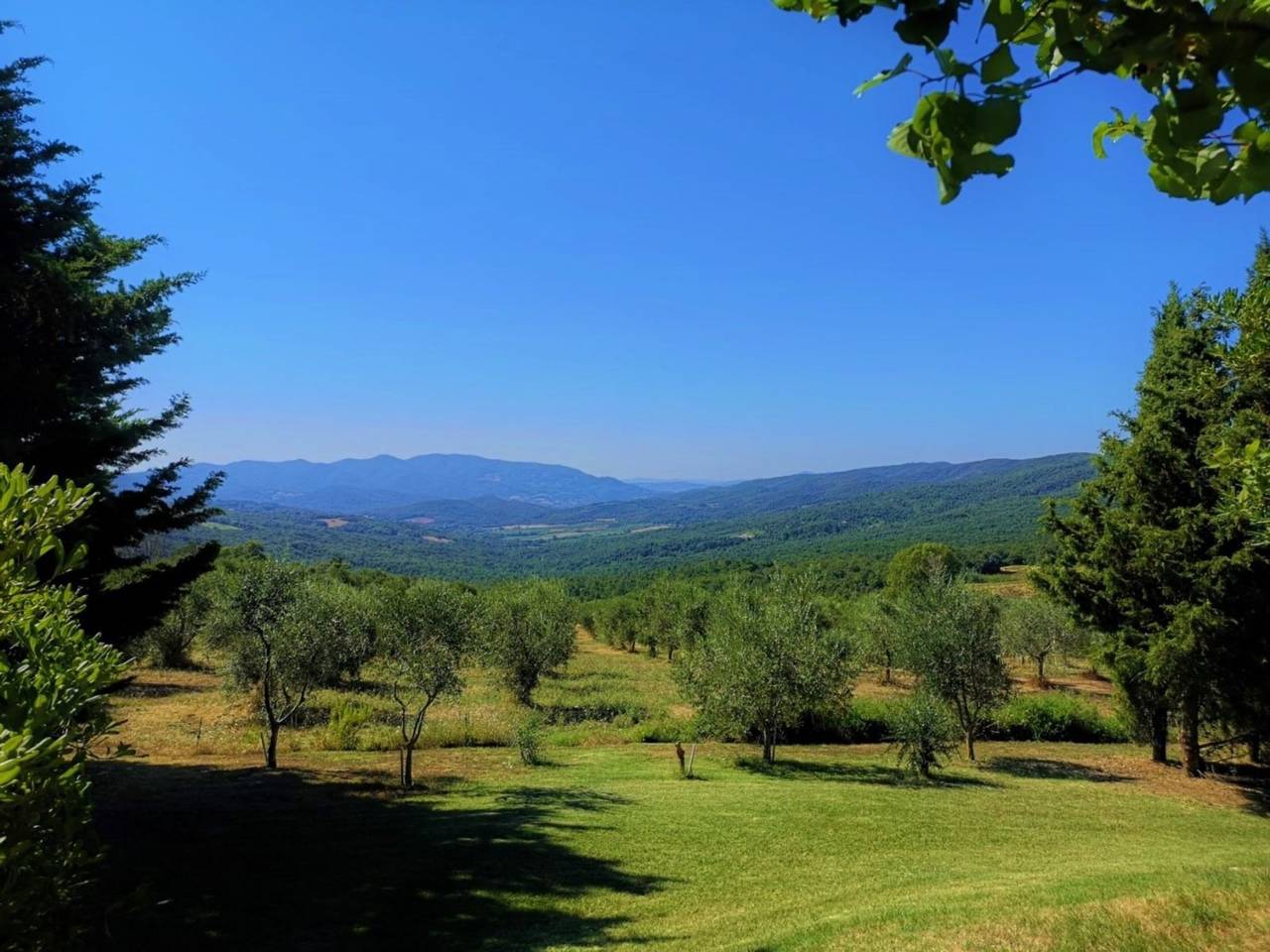 Villa San Martino in Pomarance, Riserva Naturale di Monterufoli