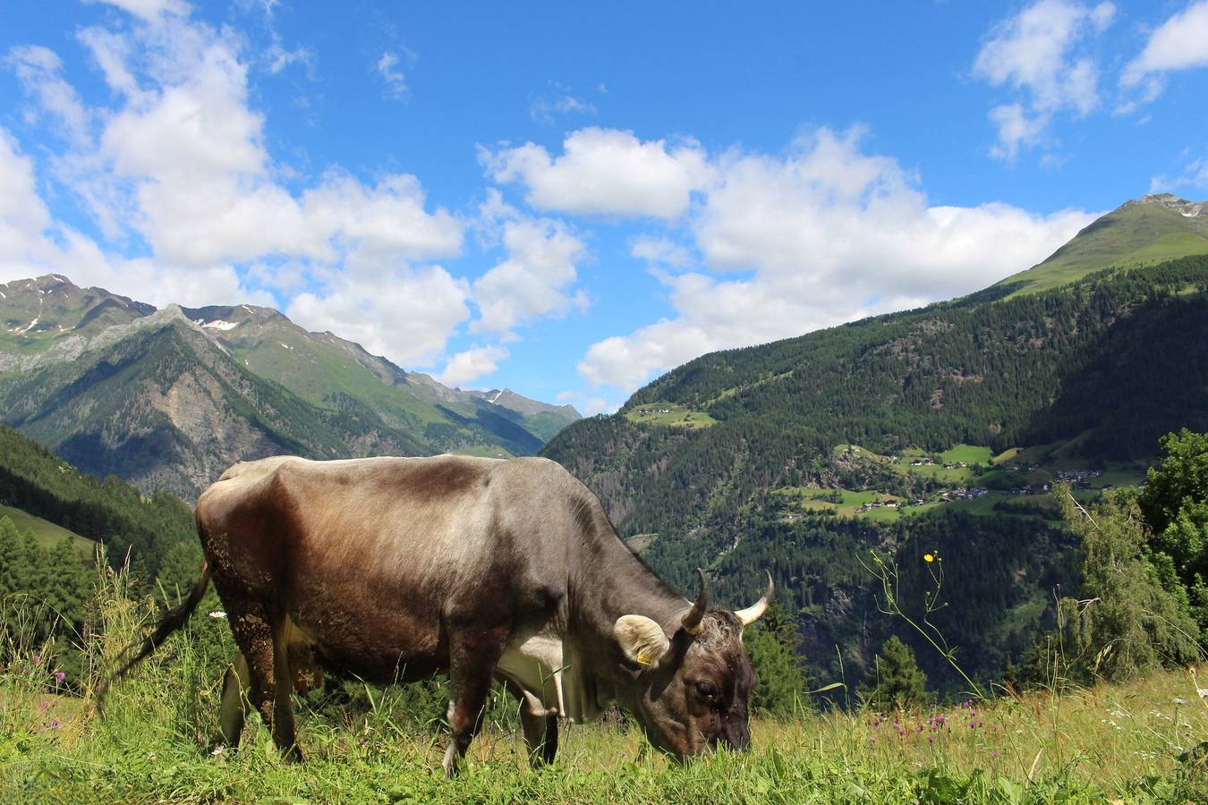 Appartamento intero, Appartamento 'Jaufenspitz' con vista montagna, terrazza panoramica privata e Wi-Fi in San Martino in Passiria, Gruppo Tessa