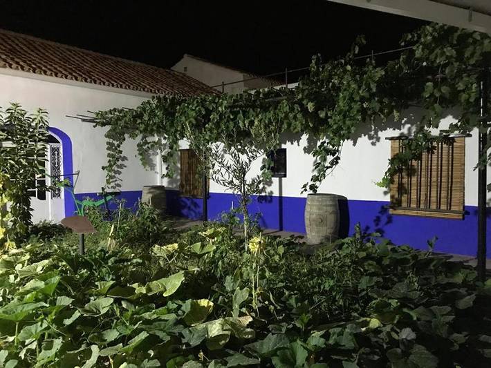 Casa rural para 8 personas, con jardín y vistas en Arenales de San Gregorio
