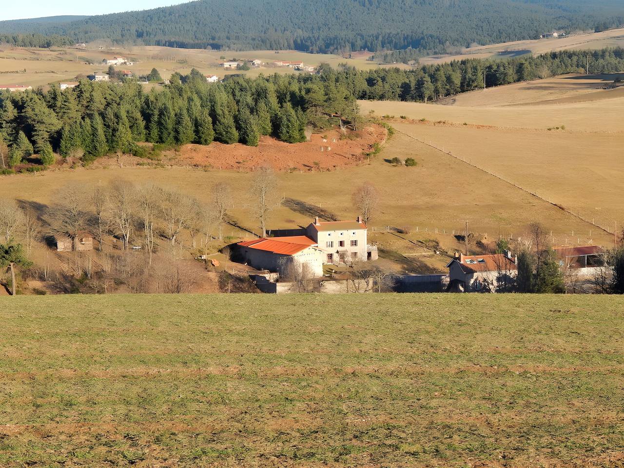 Gîte "au pas de l'âne" in Saint-Genest-Malifaux, Parc Naturel Régional du Pilat