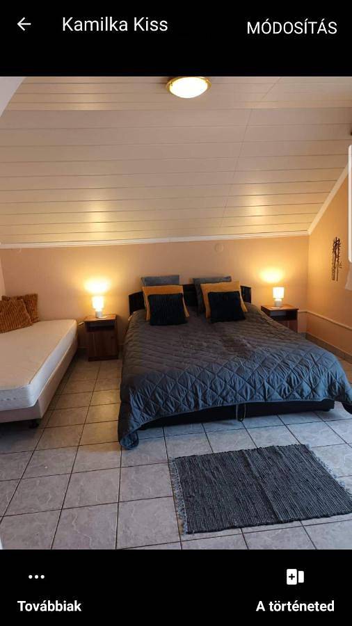 Villa pour 8 personnes, avec jardin à Budapest - 4