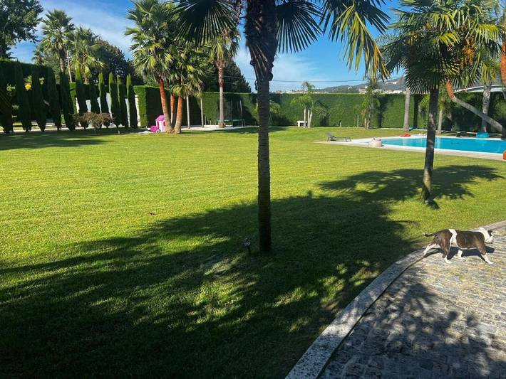Casa rural para 5 personas, con jardín además de vistas y piscina, Se admiten mascotas en Penafiel - 2