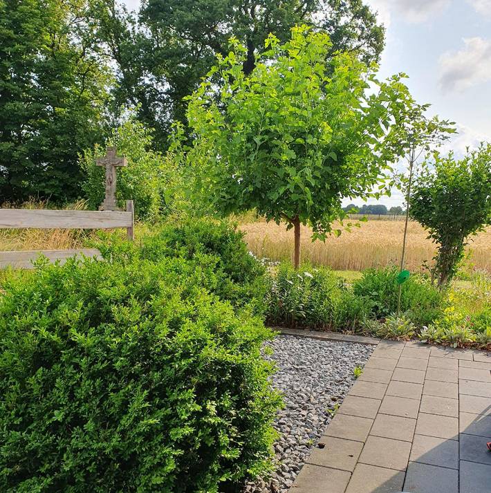 Ferienwohnung für 4 Personen, mit Terrasse, mit Haustier im Münsterland - 4