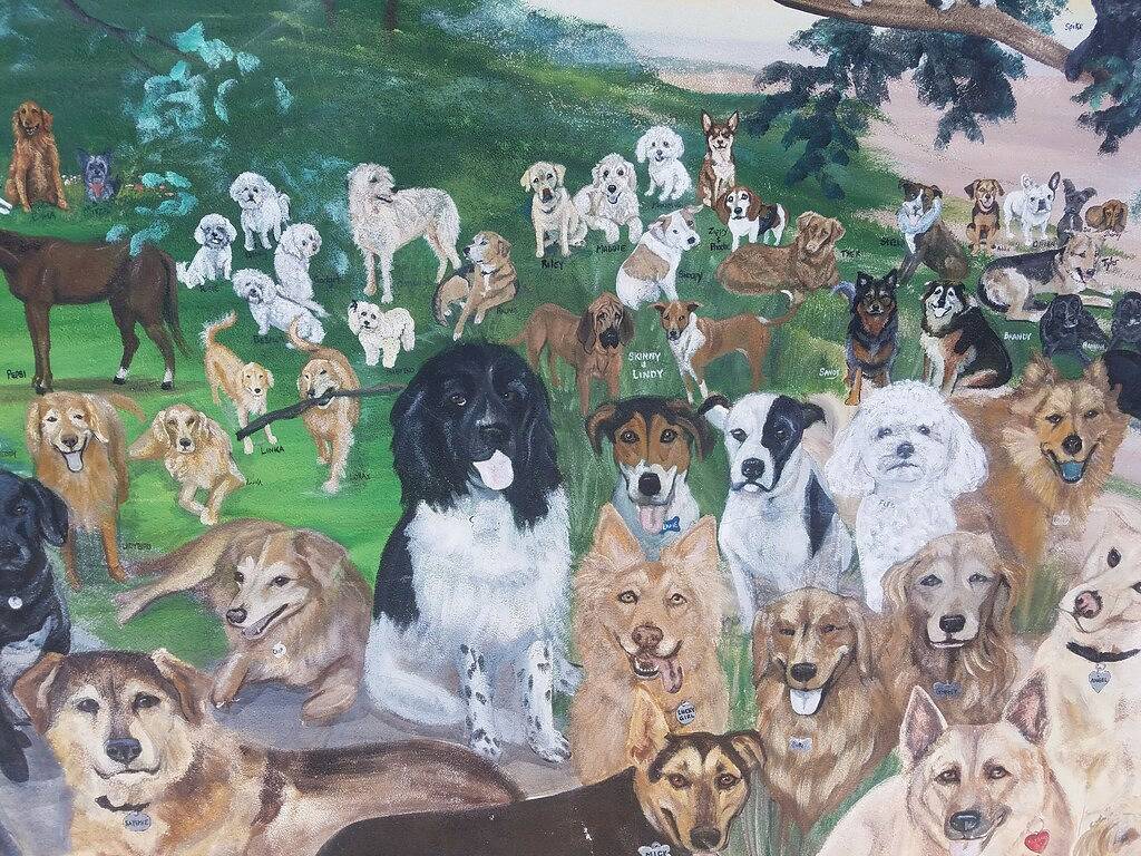 Charmantes umgebautes Strandloft in Clearwater Beach, Clearwater