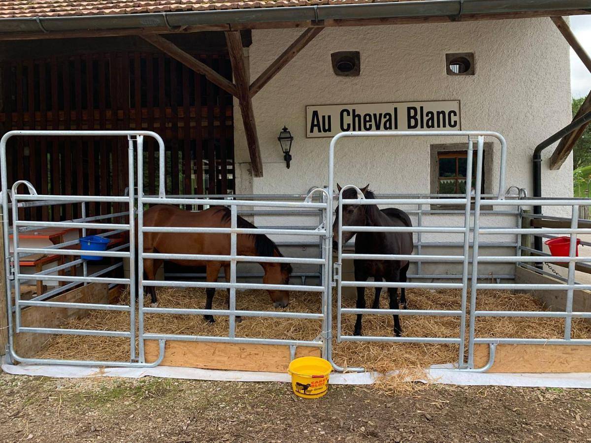 Au Cheval Blanc in Asuel, La Baroche