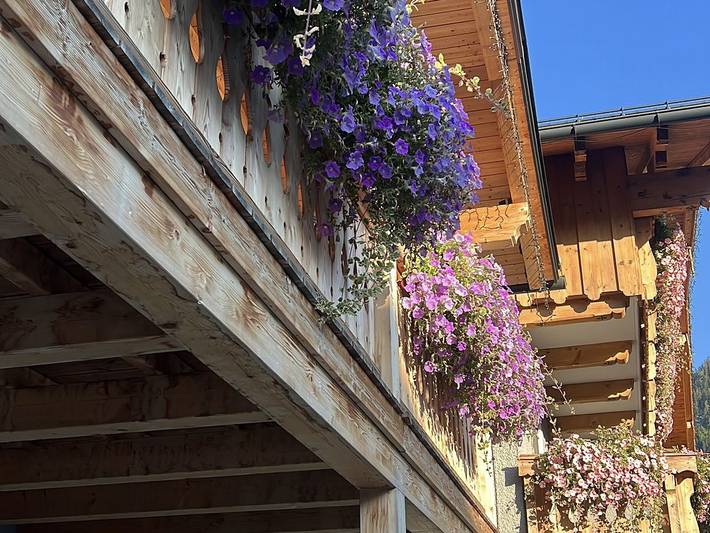Ferienwohnung für 3 Personen, mit Balkon und Garten sowie Sauna in Dachstein Salzkammergut - 2