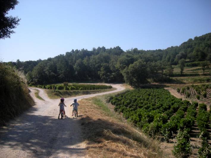 Casa rural para 8 personas, con terraza y piscina en Provincia de Barcelona - 3