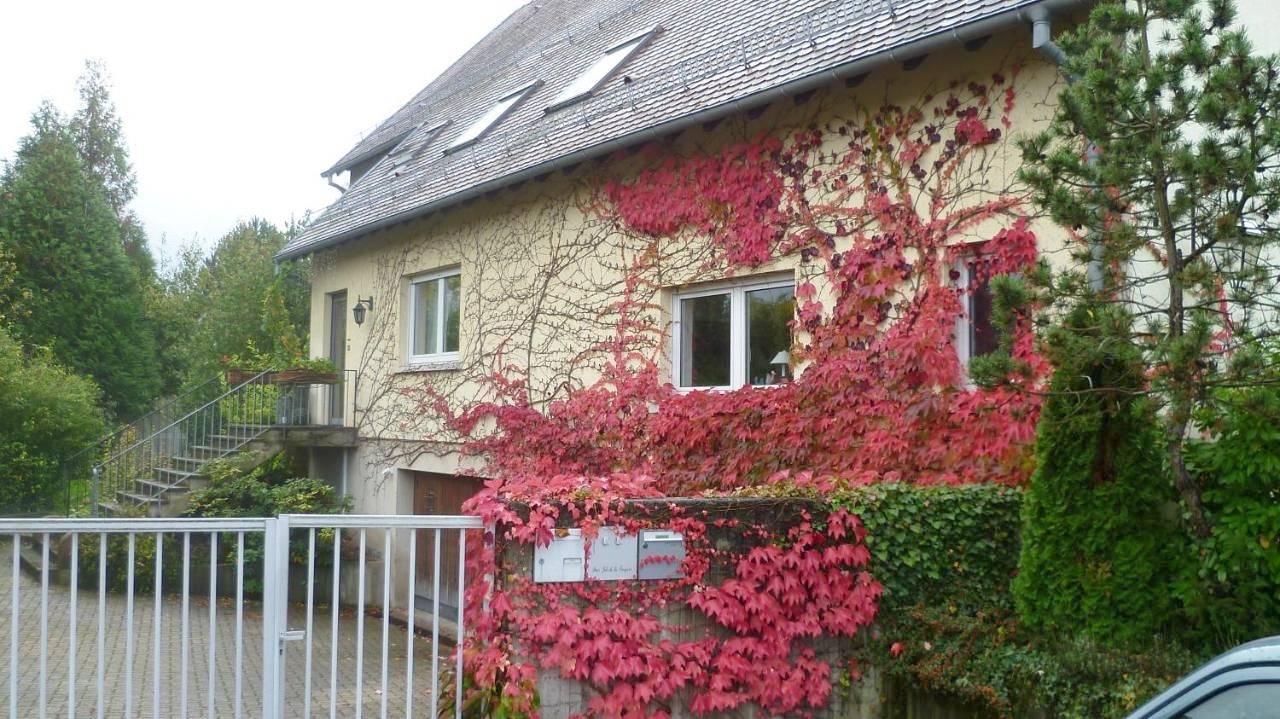 Bois Joli de la Freyère in Hindisheim, Région de Sélestat-Erstein