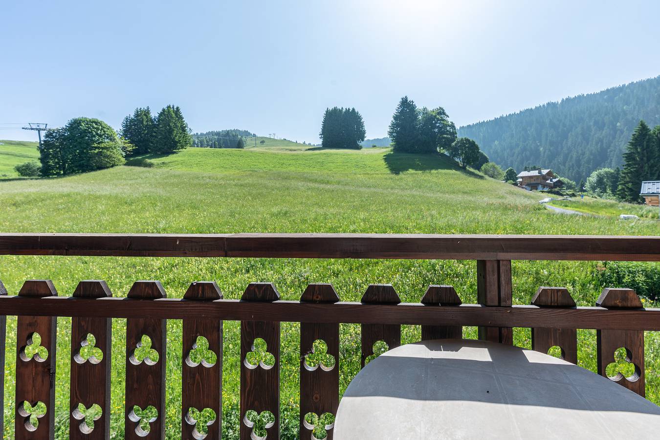 Studio entier, Studio '16 - Le Lagopede' avec vue sur montagne et balcon in Cohennoz, Région d'Albertville