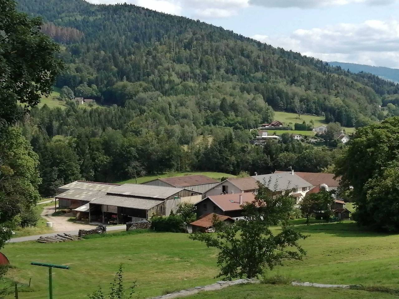 Ganze Wohnung, Gemütliches Appartement in Cleurie mit Garten in Cleurie, Épinal und Umgebung