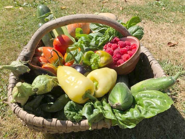 Chambre d’hôte pour 4 personnes, avec jardin et vue dans Parc naturel régional Périgord-Limousin - 4