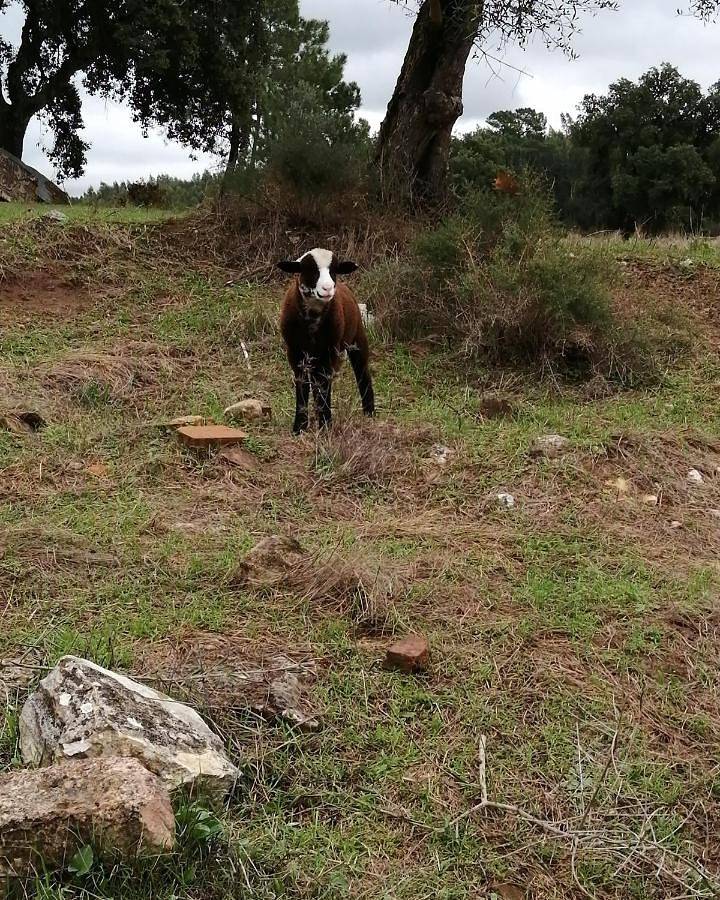 Turismo Rural casa da céu in Abrã, Parque Natural das Serras de Aire e Candeeiros