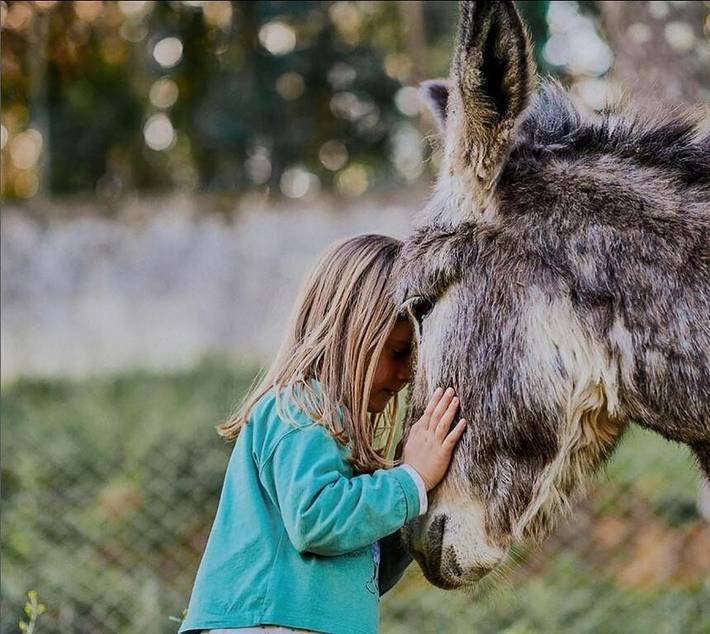 Finca für 8 Personen, mit Garten, mit Haustier in Portugal - 2