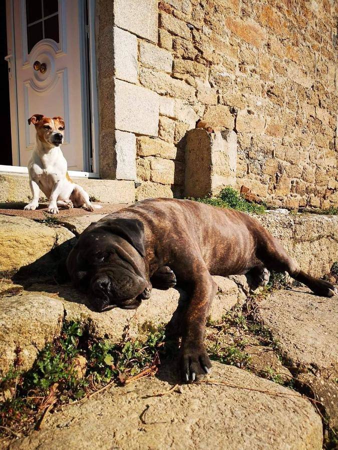 Location de vacances pour 4 personnes, avec vue et jardin à Landéhen - 3