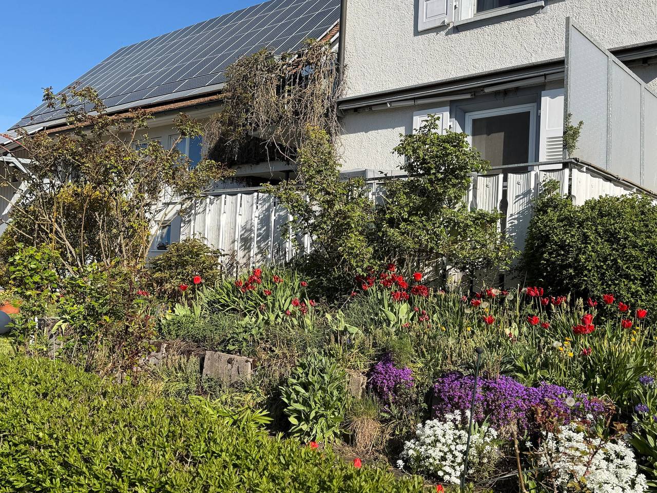 Ganze Wohnung, Ferienwohnung Sieglinde mit privater Terrasse in Bad Dürrheim Öfingen in Bad Dürrheim, Mittlerer Schwarzwald