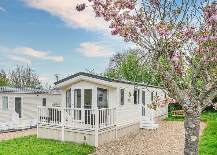 Glamping for 6 people in Somerset
