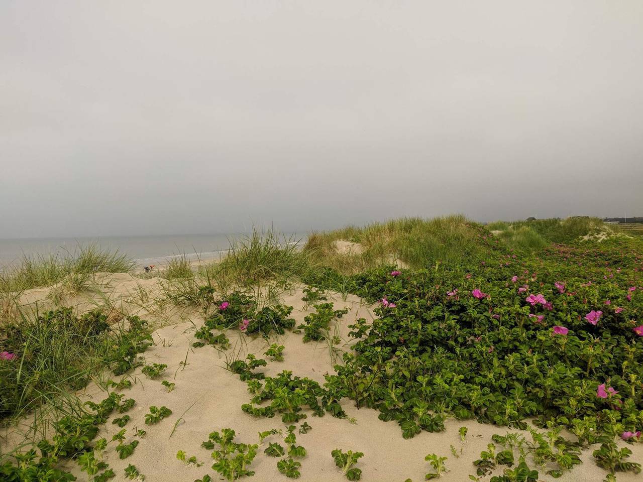 Luxus-Ruckzug mit Pool in Blavand, Varde